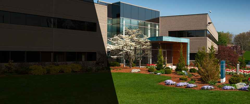 Sun City Center Landscapers