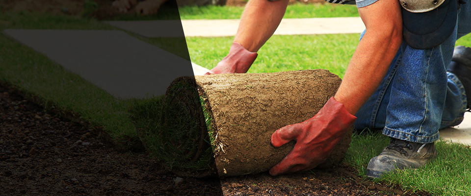 Sun City Center Landscapers